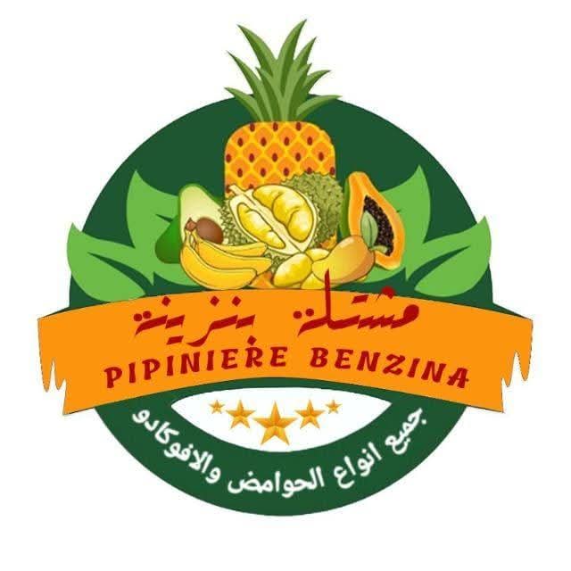 lesmarches.ma | les marches prive | appel d'offres maroc | les marches maroc